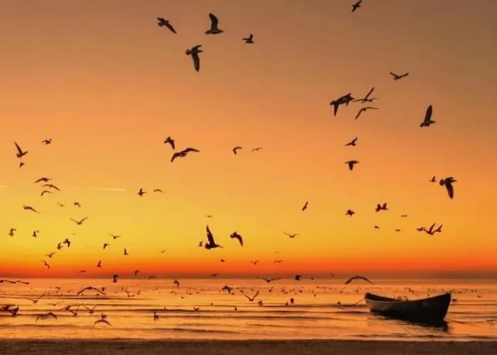 Nian Boutique Constanţa