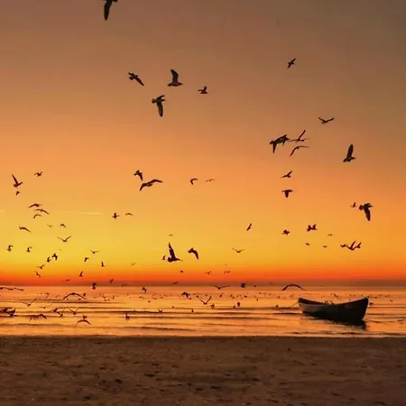 Nian Boutique Constanţa